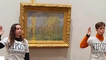 Deux militantes pour le climat condamnées à une amende après un jet de soupe sur un tableau de Monet à Lyon