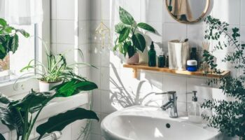 Doctor warns that having this in your bathroom can cause gut infections