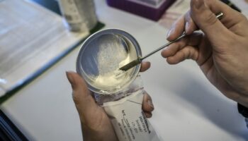 Drogues: Plus d'un million d'usagers de cocaïne en France en 2023