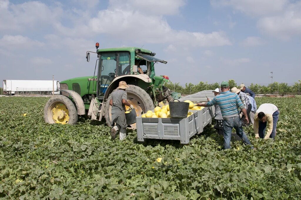 El campo y las empleadas del hogar fulminan 176.000 empleos desde que arrancó la escalada del salario mínimo y a las puertas de una nueva subida del 4%