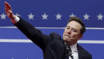 Elon Musk accusé d’avoir fait un salut nazi, ou comment la culture 4chan entre à la Maison Blanche