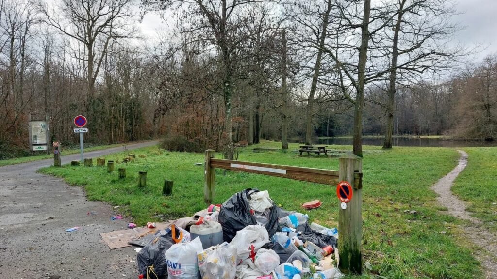 En Seine-et-Marne, l’addition sera plus salée pour les auteurs de dépôts sauvages