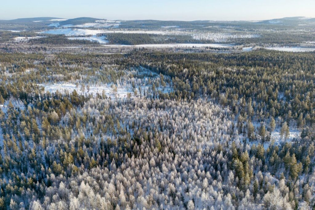 En Suède, le projet du gouvernement de fertiliser les forêts pour accélérer leur croissance vivement critiqué