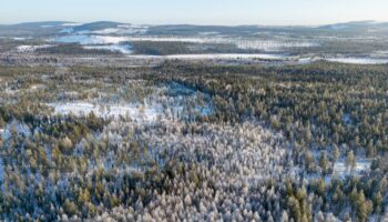 En Suède, le projet du gouvernement de fertiliser les forêts pour accélérer leur croissance vivement critiqué