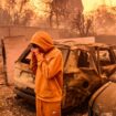 En direct, incendies à Los Angeles : le Palisades Fire est l’« une des catastrophes naturelles les plus destructrices de l’histoire de la ville », selon les pompiers