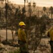 En direct, incendies à Los Angeles : le bilan s’alourdit à seize morts ; le Palisades Fire continue de s’étendre