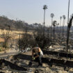 En images : le désespoir des résidents de Palisades, quartier huppé de Los Angeles ravagé par le feu