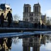 En un mois: Notre-Dame a accueilli 860.000 visiteurs depuis sa réouverture au public