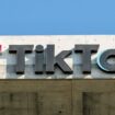 États-Unis : TikTok menace de se débrancher dimanche