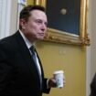 European leaders decry Elon Musk's meddling