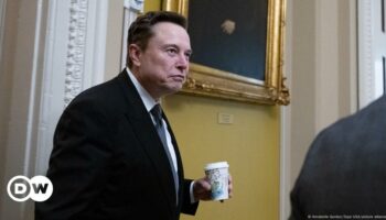 European leaders decry Elon Musk's meddling