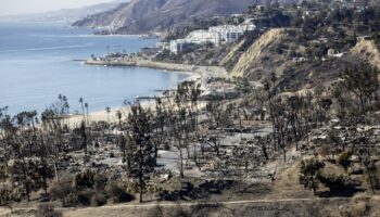 Fact check: Incendies à Los Angeles: les politiques environnementales, cibles de la désinformation