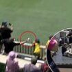 Fan pulls off the most outrageous one-handed catch during Women's Ashes match - and impressively doesn't spill a drop of his beer!