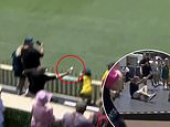 Fan pulls off the most outrageous one-handed catch during Women's Ashes match - and impressively doesn't spill a drop of his beer!