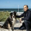 Carl Sievers versucht, das Vertrauen des scheuen Hundes Joker zu erlangen. Foto: Georges Pauly/ZDF/dpa