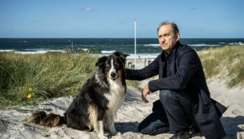 Carl Sievers versucht, das Vertrauen des scheuen Hundes Joker zu erlangen. Foto: Georges Pauly/ZDF/dpa