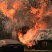 Das "Palisades Fire" wütet inmitten starker Winde. Foto: Damian Dovarganes/AP/dpa