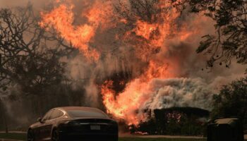 Das "Palisades Fire" wütet inmitten starker Winde. Foto: Damian Dovarganes/AP/dpa