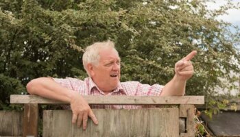 Find out who owns your garden fence - and stop rows with the neighbour