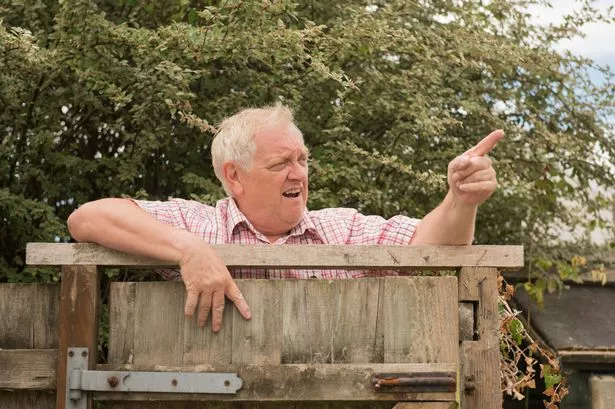 Find out who owns your garden fence - and stop rows with the neighbour