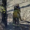 Firefighters catch second 'arsonist' in the act of starting new blazes in LA days after cops arrest illegal immigrant with a blowtorch