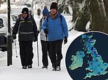 Gas supplies are 'concerningly low' and UK narrowly avoided POWER CUTS amid fears Labour's Net Zero will put the lights out during -20C cold snap