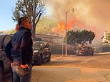 Gavin Newsom is slammed for car crash interview as he furiously tries to shift blame for LA fires