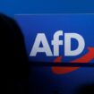 German police investigate AfD mock plane ticket campaign