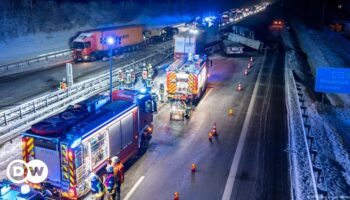 Germany: Hundreds of fish die in truck collision