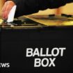 Half of English county councils could ask to delay elections