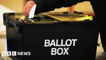 Half of English county councils could ask to delay elections