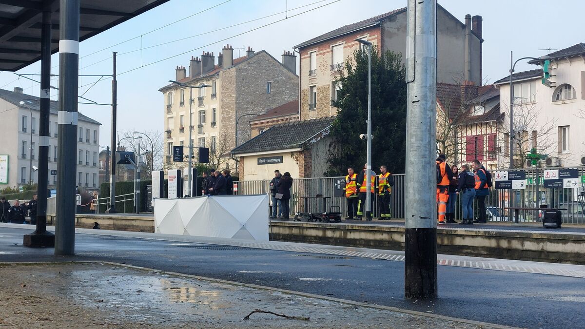 « Il est passé sous les barrières » : le piéton mort percuté au passage à niveau aurait tenté d’attraper son train