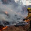 Incendies à Los Angeles : Zelensky propose l'envoi de pompiers ukrainiens