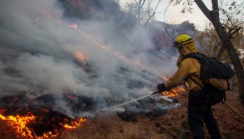 Incendies à Los Angeles : Zelensky propose l'envoi de pompiers ukrainiens