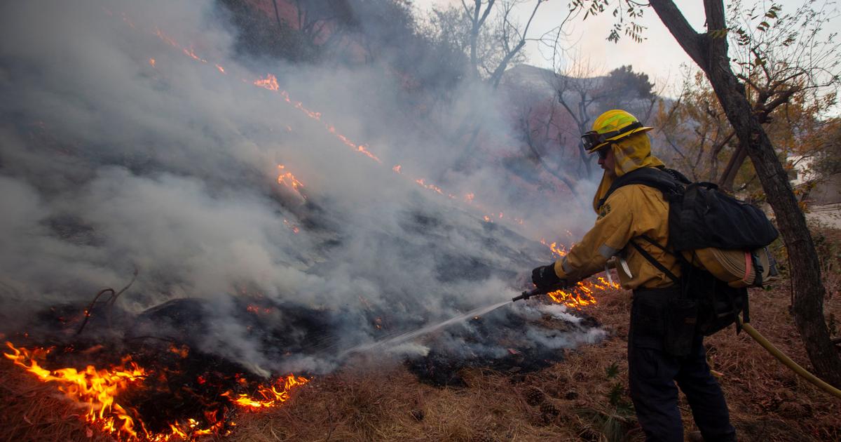 Incendies à Los Angeles : Zelensky propose l'envoi de pompiers ukrainiens