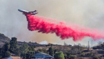 Incendies à Los Angeles : l’impact majeur sur l’eau, l’air, la faune et la flore