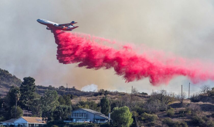 Incendies à Los Angeles : l’impact majeur sur l’eau, l’air, la faune et la flore