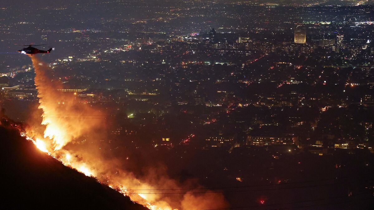 Incendies de Los Angeles : l’eau détournée pour « protéger un poisson sans valeur », vraiment ?