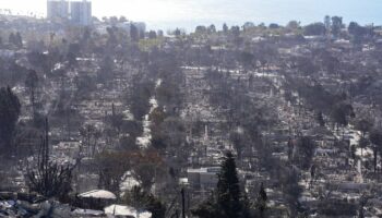 Incendies de Los Angeles: pour les pro-Trump, le coupable est tout trouvé, c'est la diversité