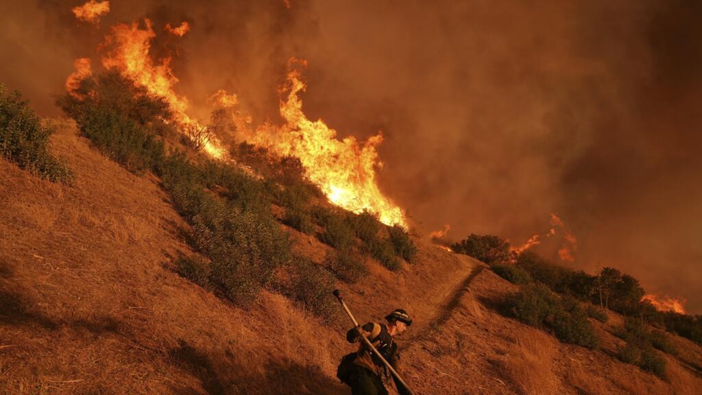 Incendies en Californie : quand la diversité devient le bouc émissaire préféré des conservateurs