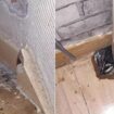 Inside 'house of horrors' with exposed live wiring and mould labelled 'slum' by judge