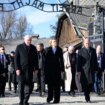 Internationaler Holocaust-Gedenktag: Steinmeier: „Verantwortung kennt keinen Schlussstrich“