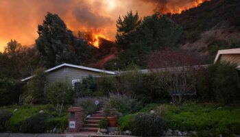 Kalifornien: 16 Tote bei Bränden in Los Angeles - Rufe nach Trump