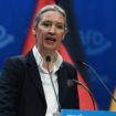 Kanzlerkandidatin der AfD: Alice Weidel: "Möchte mich bei Elon Musk bedanken, der diesen Parteitag streamt"