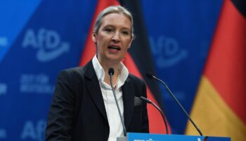 Kanzlerkandidatin der AfD: Alice Weidel: "Möchte mich bei Elon Musk bedanken, der diesen Parteitag streamt"