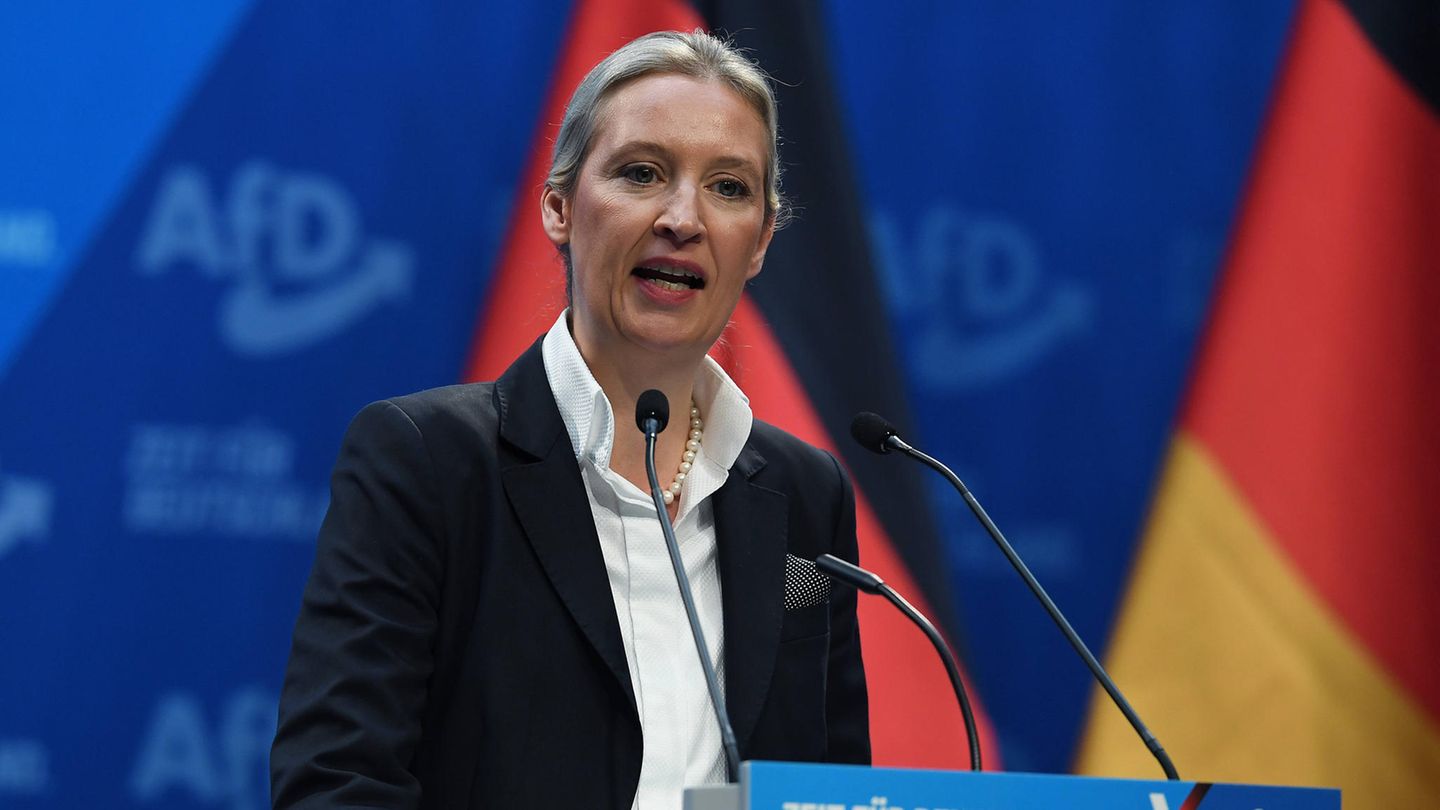 Kanzlerkandidatin der AfD: Alice Weidel: "Möchte mich bei Elon Musk bedanken, der diesen Parteitag streamt"