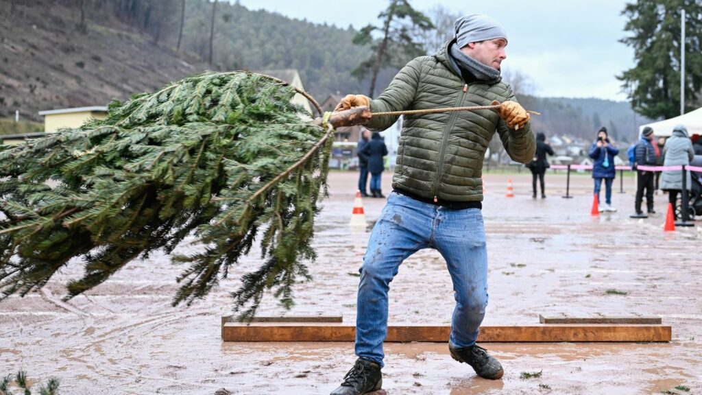 Die Kontrahenten messen sich in drei Kategorien. Foto: Uwe Anspach/dpa