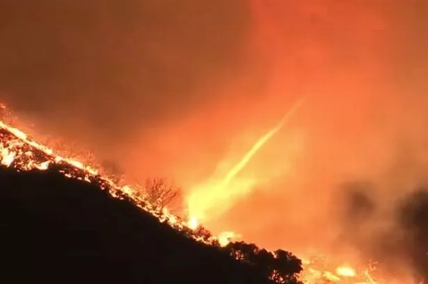 LA fires: Ultra rare 'fire tornado' caught on camera tearing towards leafy neighbourhood