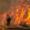 LA police arrest brazen burglar dressed up as firefighter looting home hit by wildfire horror