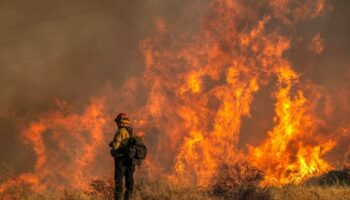 LA police arrest brazen burglar dressed up as firefighter looting home hit by wildfire horror